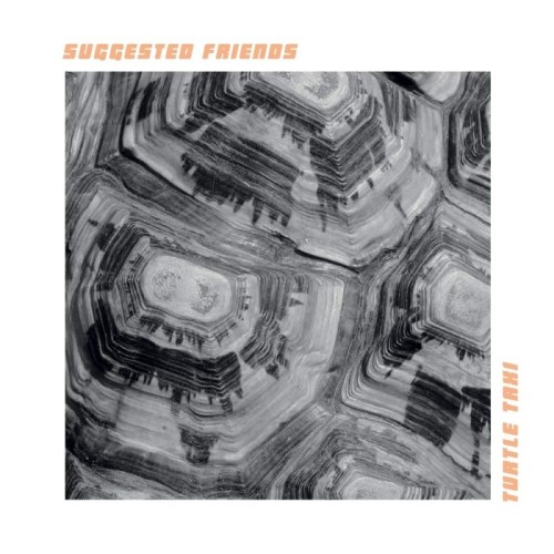 Suggested Friends - Turtle Taxi