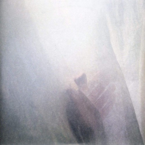 Sun Airway - Wild Palms B/W Symphony In White, No. 2