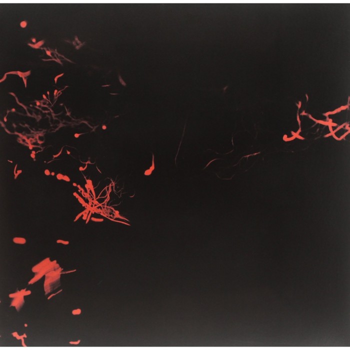 Svarte Greiner - Moss Garden