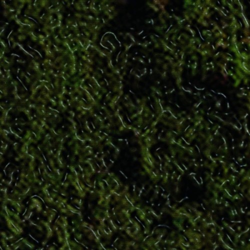 Swamp Harbour - Swamp Harbour