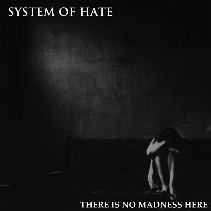 System Of Hate - There Is No Madness Here