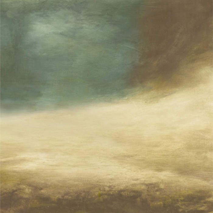 Tarantula Hawk - Tarantula Hawk