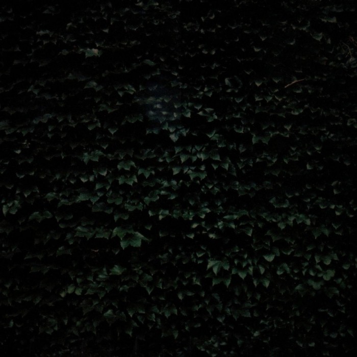 Tarentel - Order Of Things