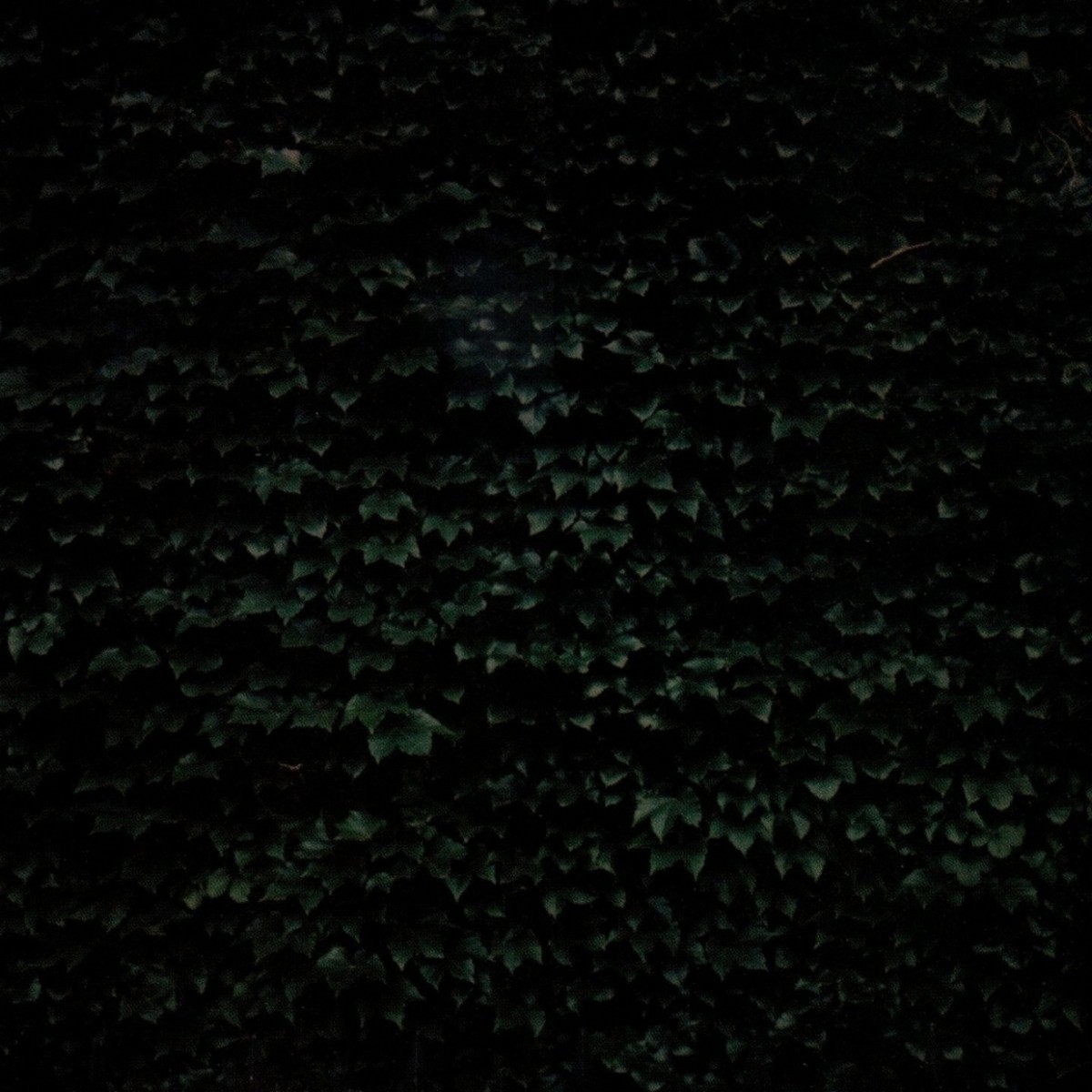 Tarentel - Order Of Things