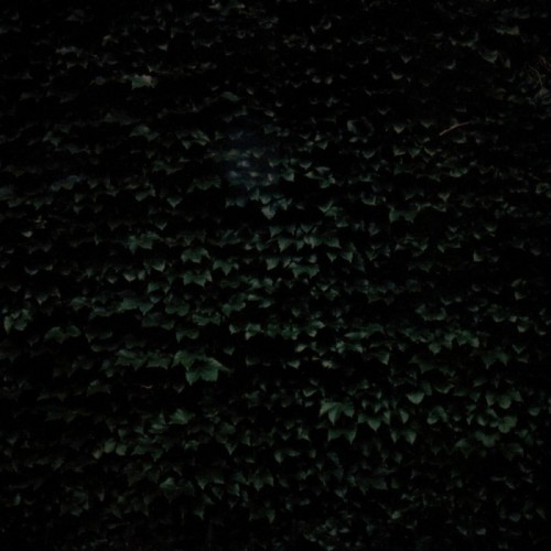 Tarentel - Order Of Things