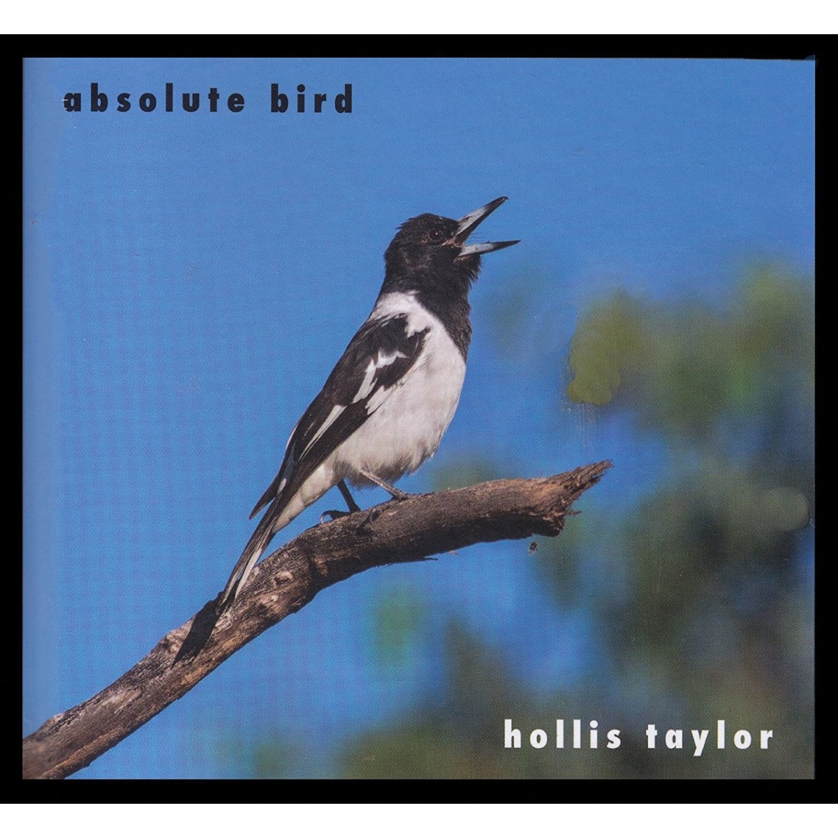 Hollis Taylor - Absolute Bird
