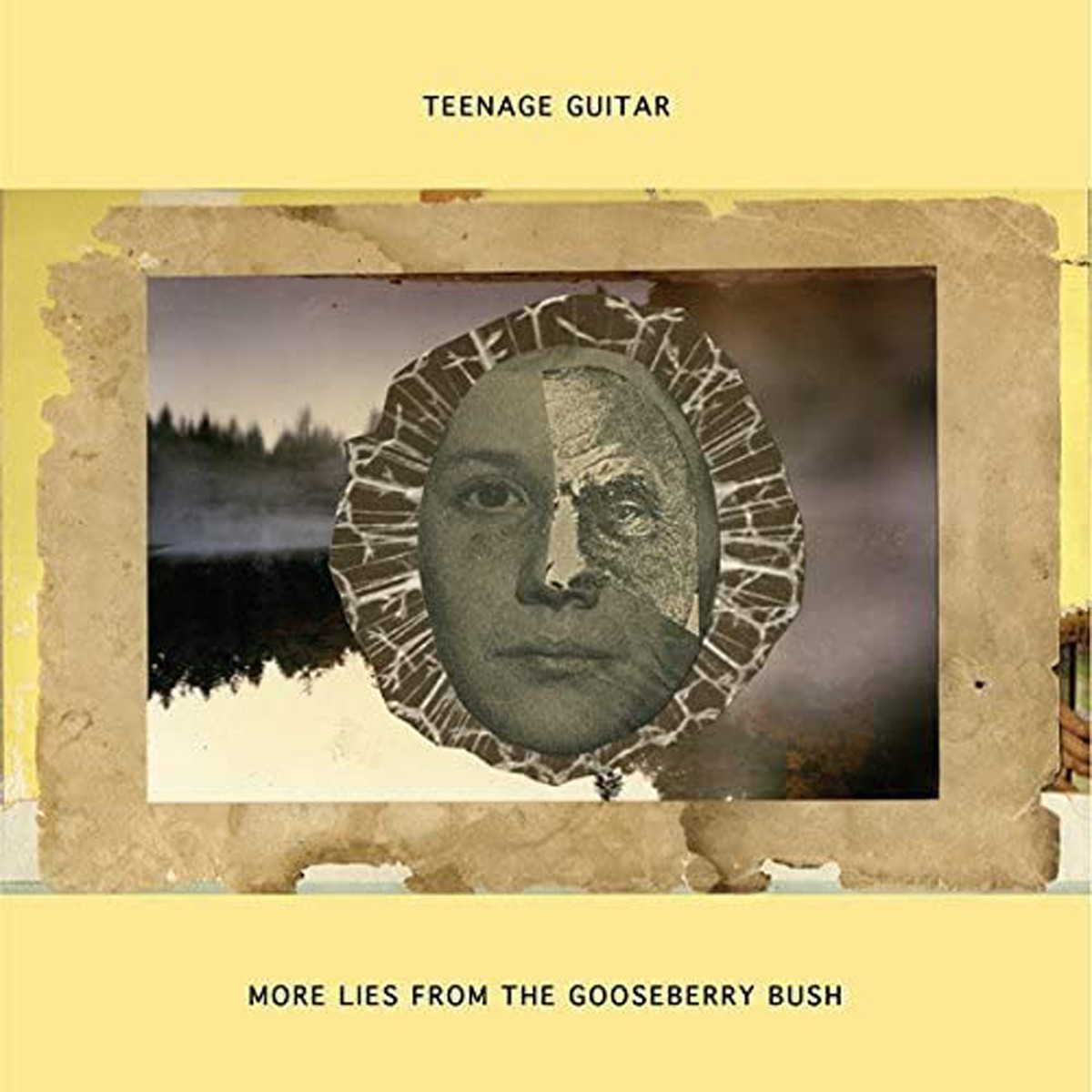Teenage Guitar - More Lies From The Gooseberry Bush