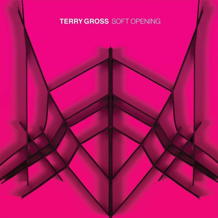 Terry Gross - Soft Opening (Trans Pink)