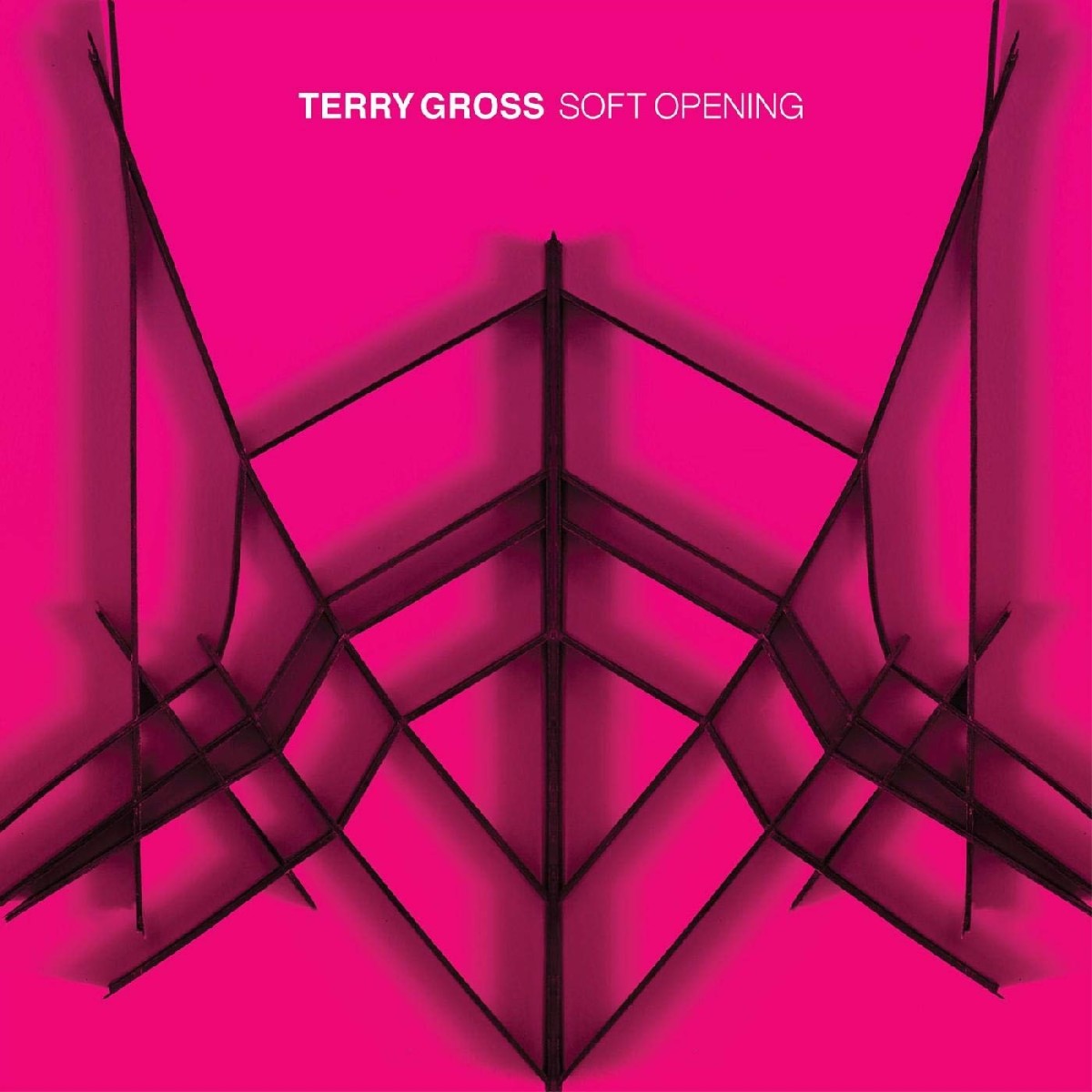 Terry Gross - Soft Opening (Translucent Blue)