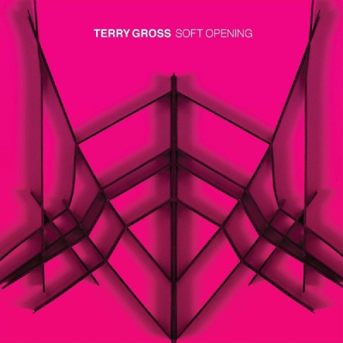 Terry Gross - Soft Opening (Translucent Blue)