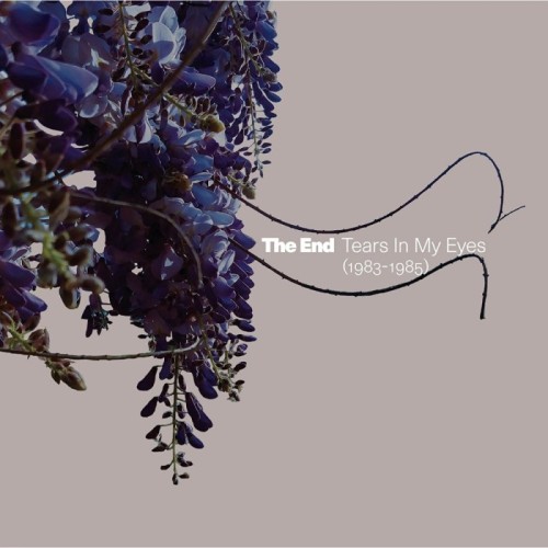 The End - Tears In My Eyes (1983-1985)