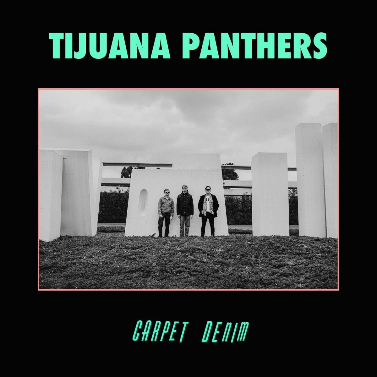 Tijuana Panthers - Carpet Denim