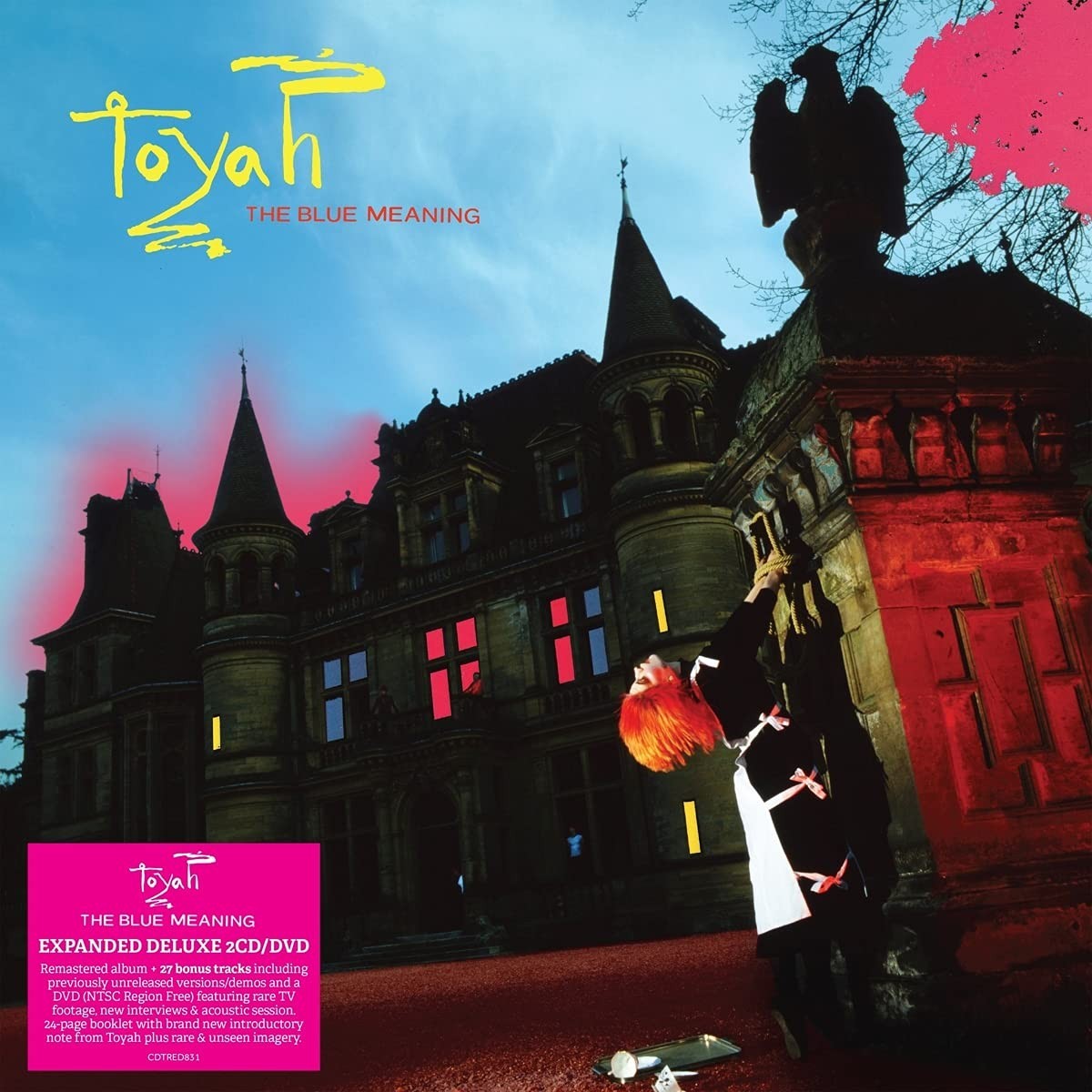 Toyah - Blue Meaning