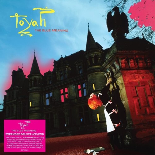 Toyah - Blue Meaning