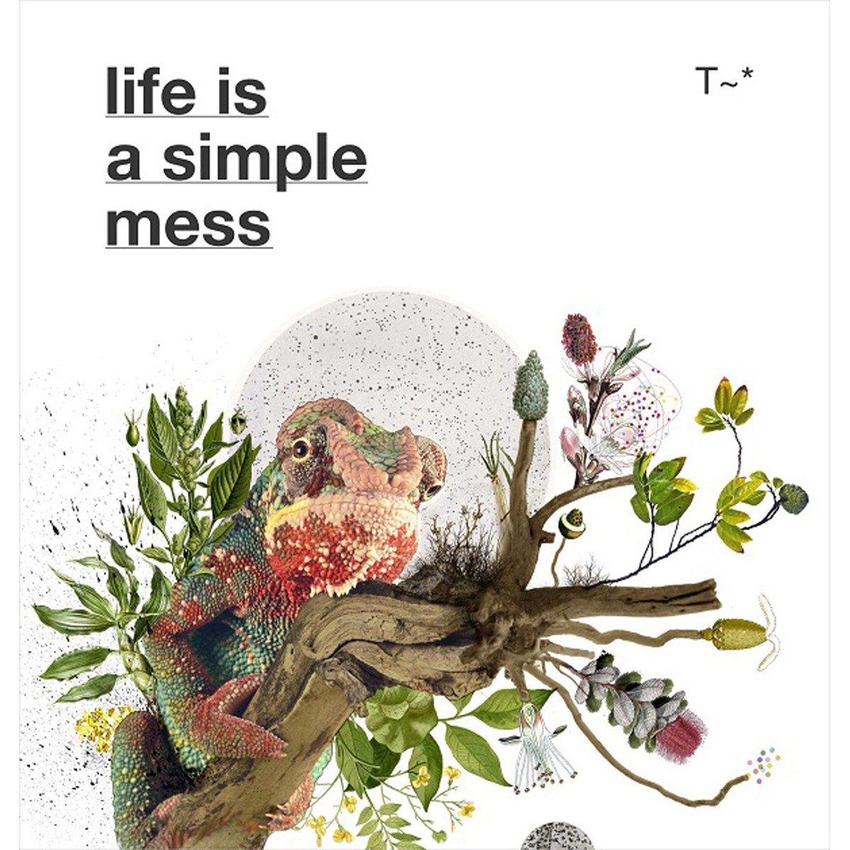 Travassos - Life Is A Simple Mess