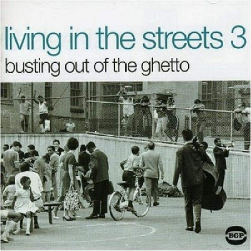 Various Artists - Living In The Streets 3 - Busting Out Of The Ghetto