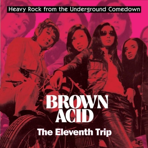 Various Artists - Brown Acid - The Eleventh Trip