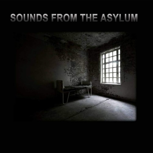 Various Artists - Sounds From The Asylum