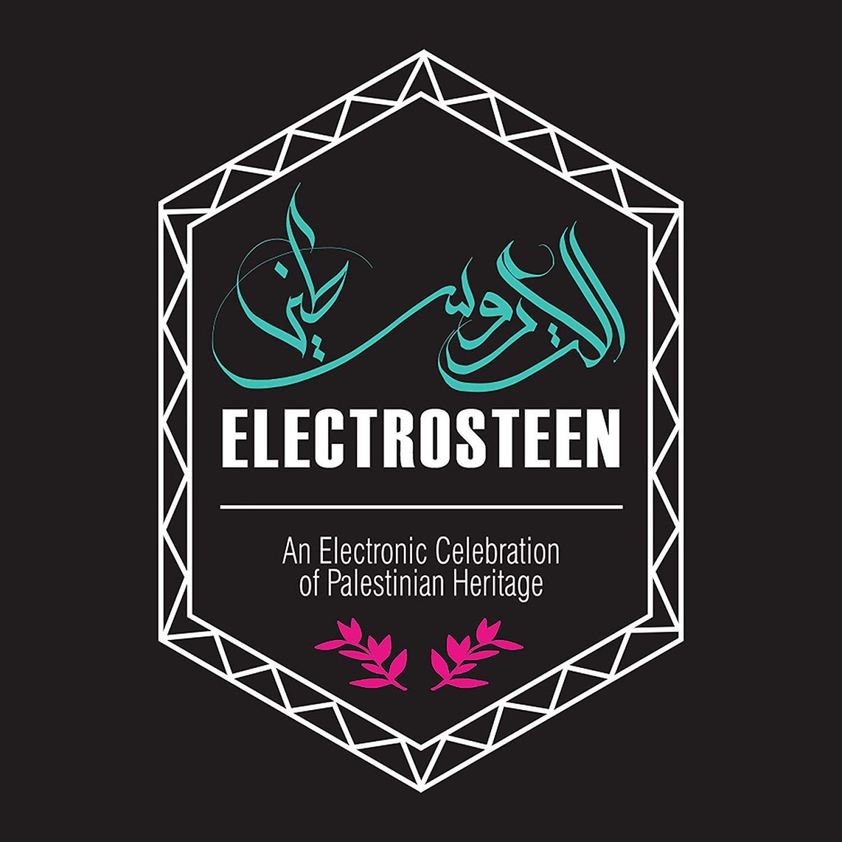 Various Artists - Electrosteen