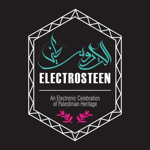 Various Artists - Electrosteen