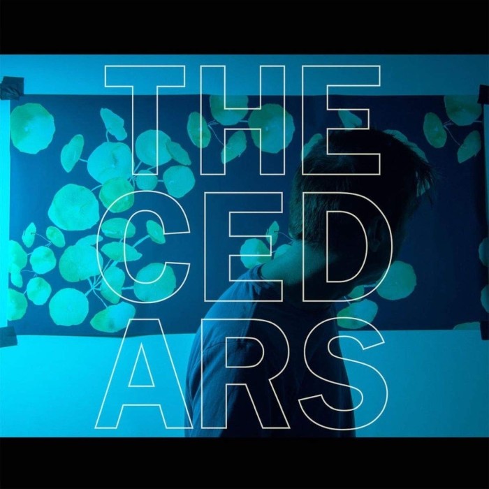 John Vanderslice - Cedars