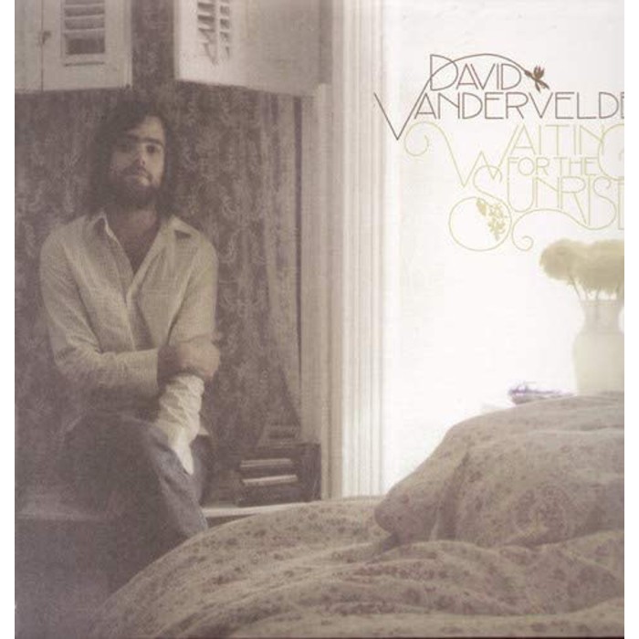 David Vandervelde - Waiting For The Sunrise