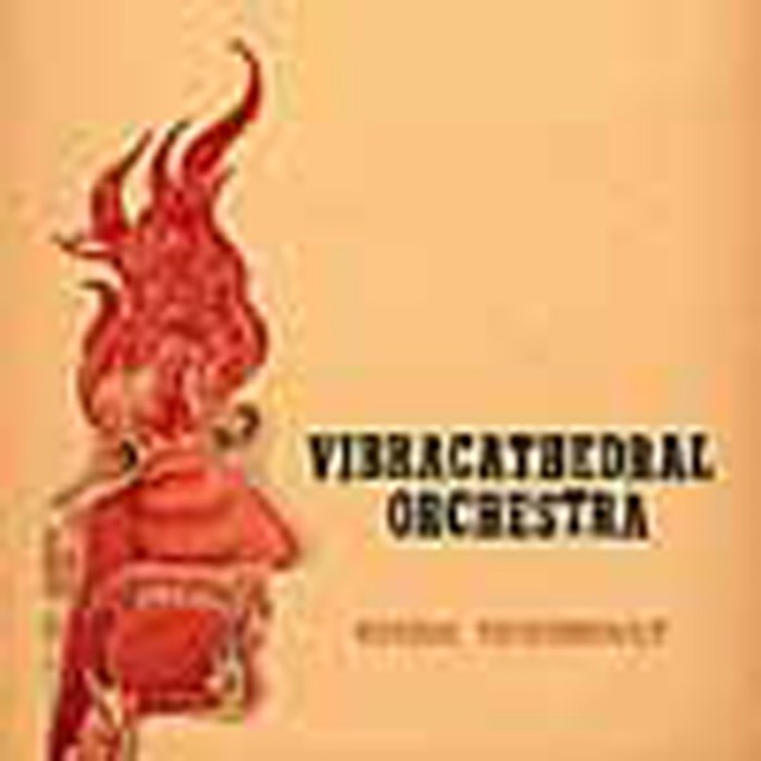 Vibracathedral Orchestra - Wisdom Thunderbolt
