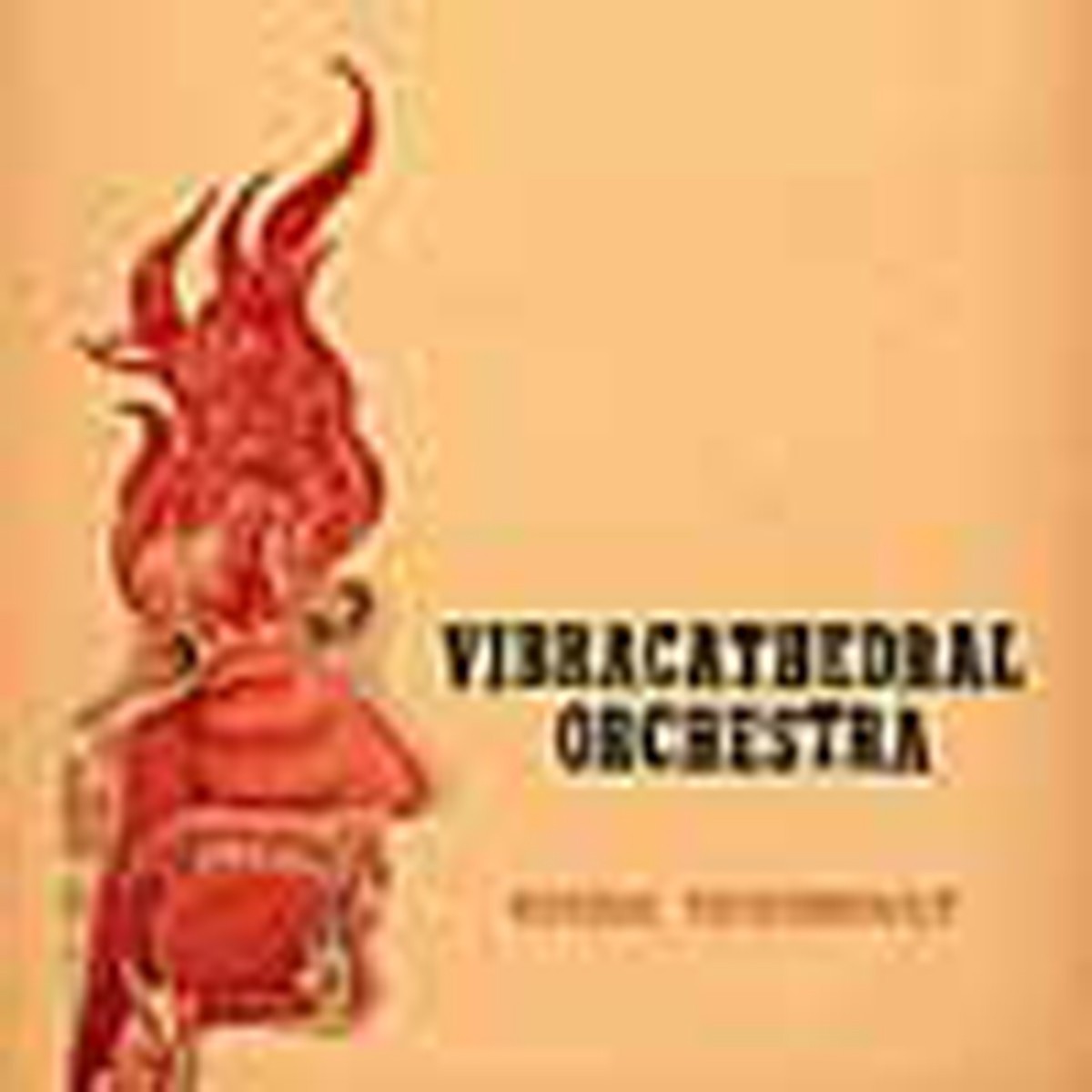 Vibracathedral Orchestra - Wisdom Thunderbolt