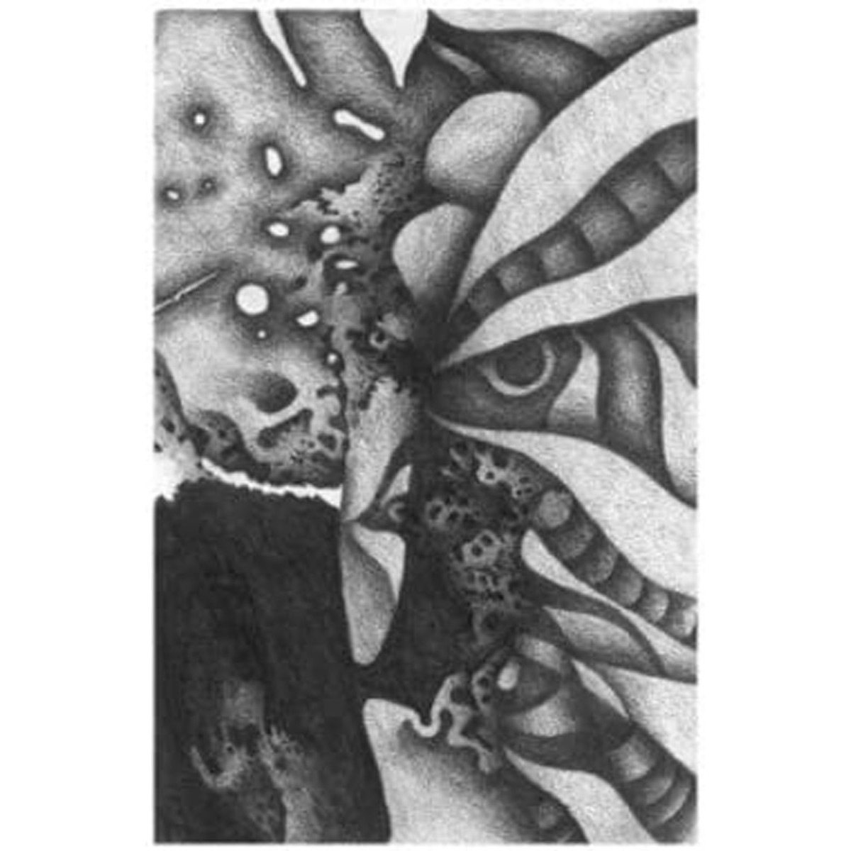 Vibracathedral Orchestra - Rec Blast Motorbike