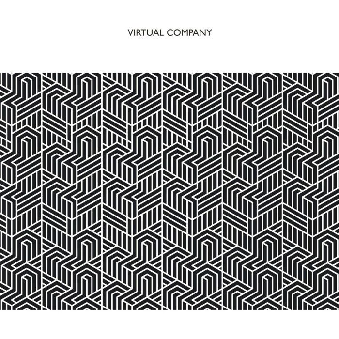 Virtual Company - Virtual Company