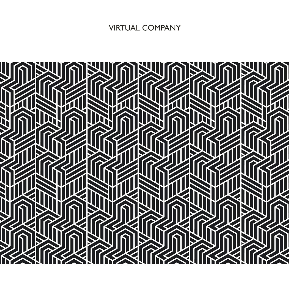 Virtual Company - Virtual Company