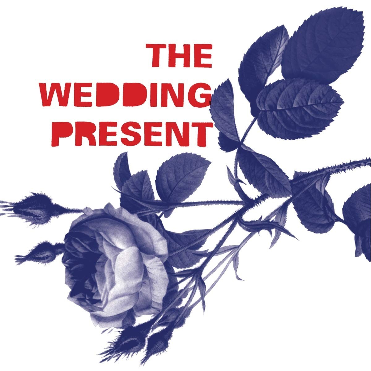 Wedding Present - Tommy 30 (Transparent Blue Vinyl)