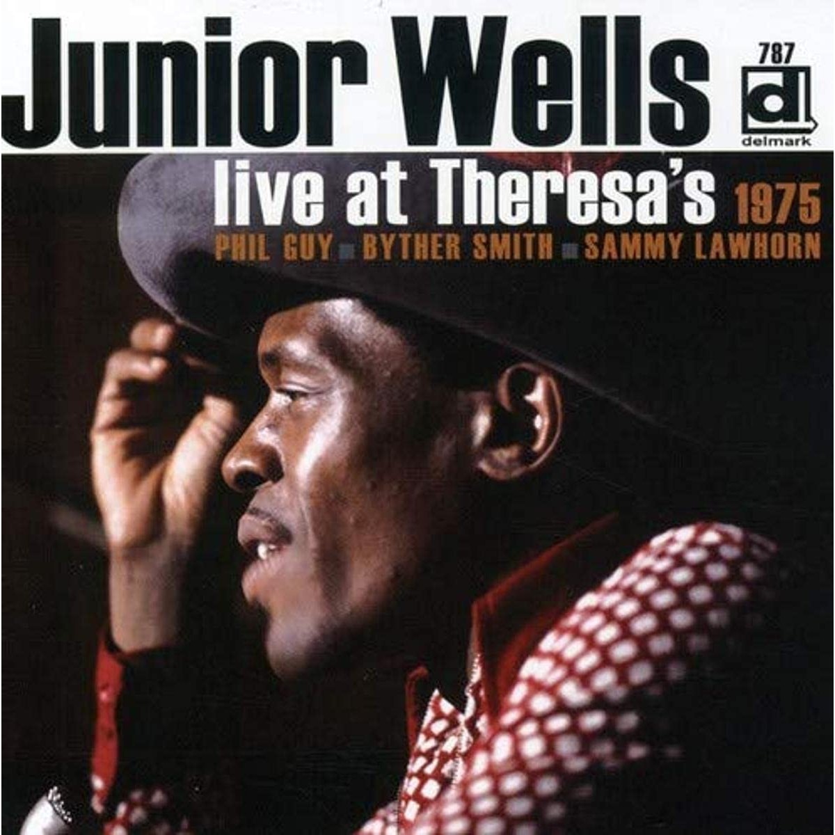 Junior Wells - Live At Theresa's - 1975