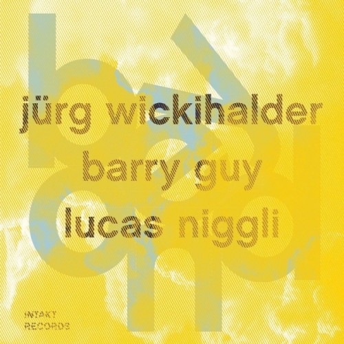 Jürg Wickihalder & Barry Guy & Lucas Niggli - Beyond