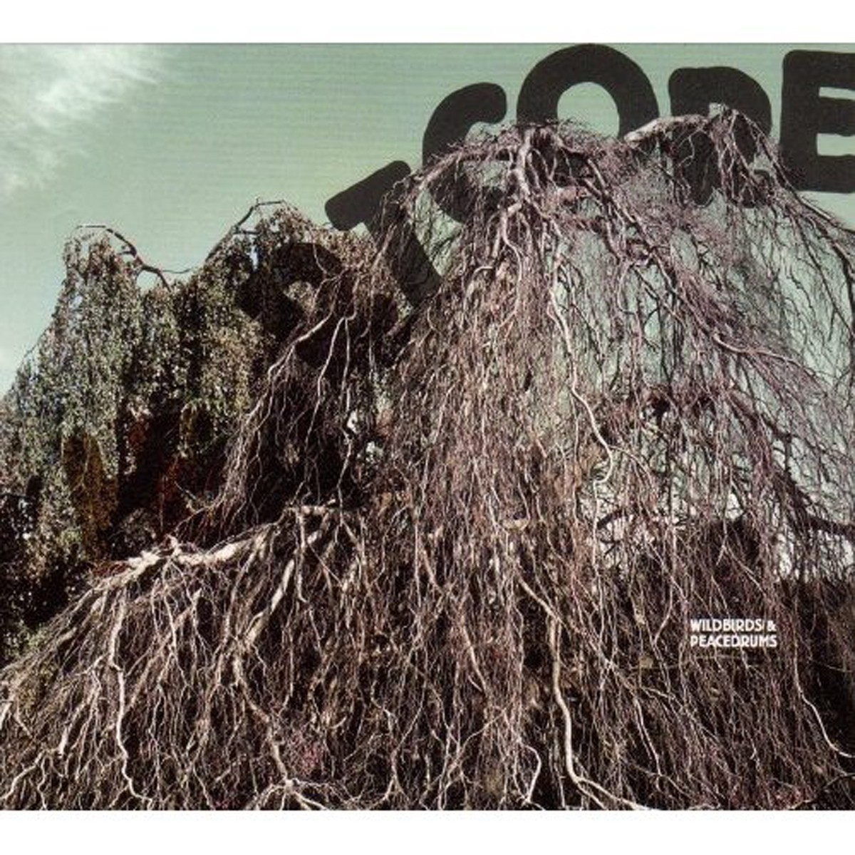 Wildbirds & Peacedrums - Heartcore