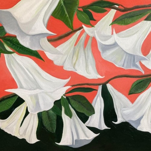 Danny George Wilson - Another Place