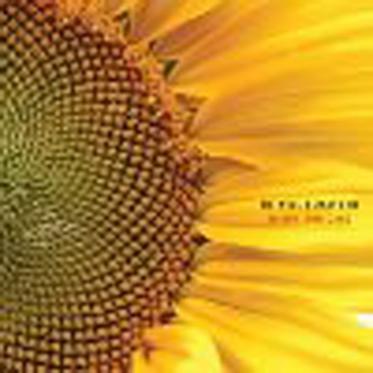 Windy & Carl - We Will Always Be