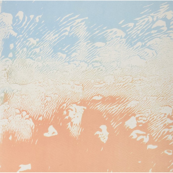 Xiphiidae - Quaking Myth