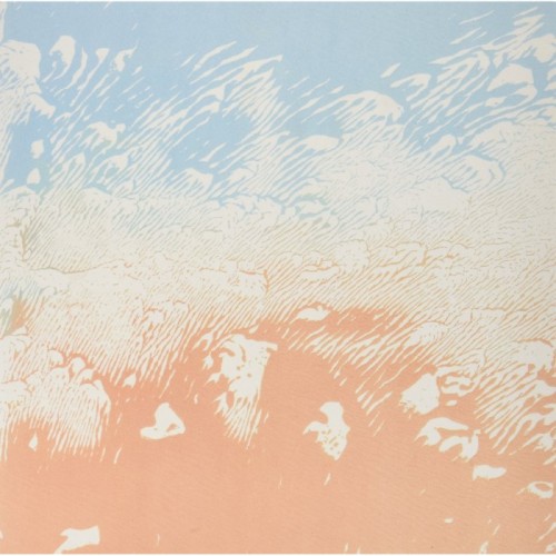 Xiphiidae - Quaking Myth