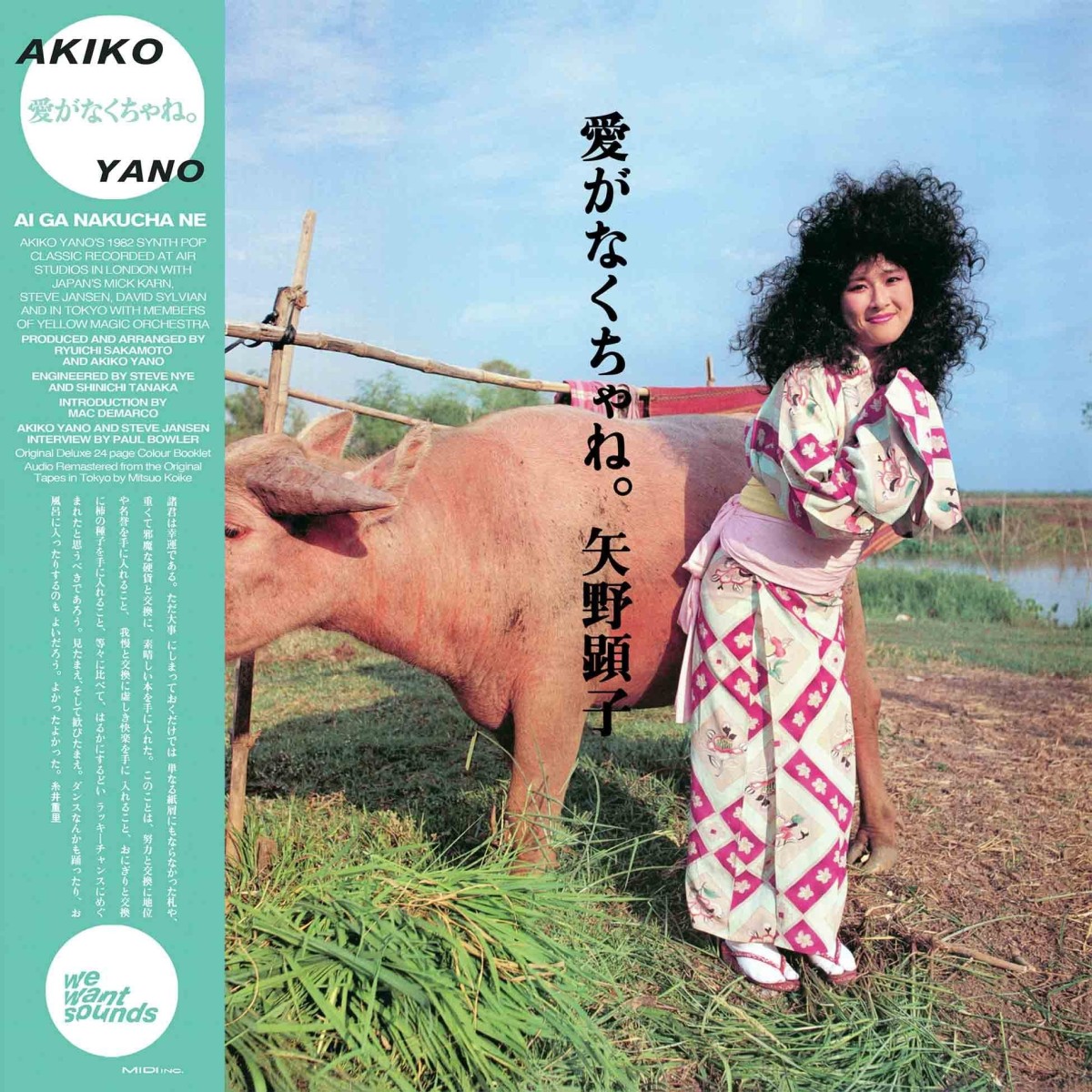 Akiko Yano - Ai Ga Nakucha Ne (1982)