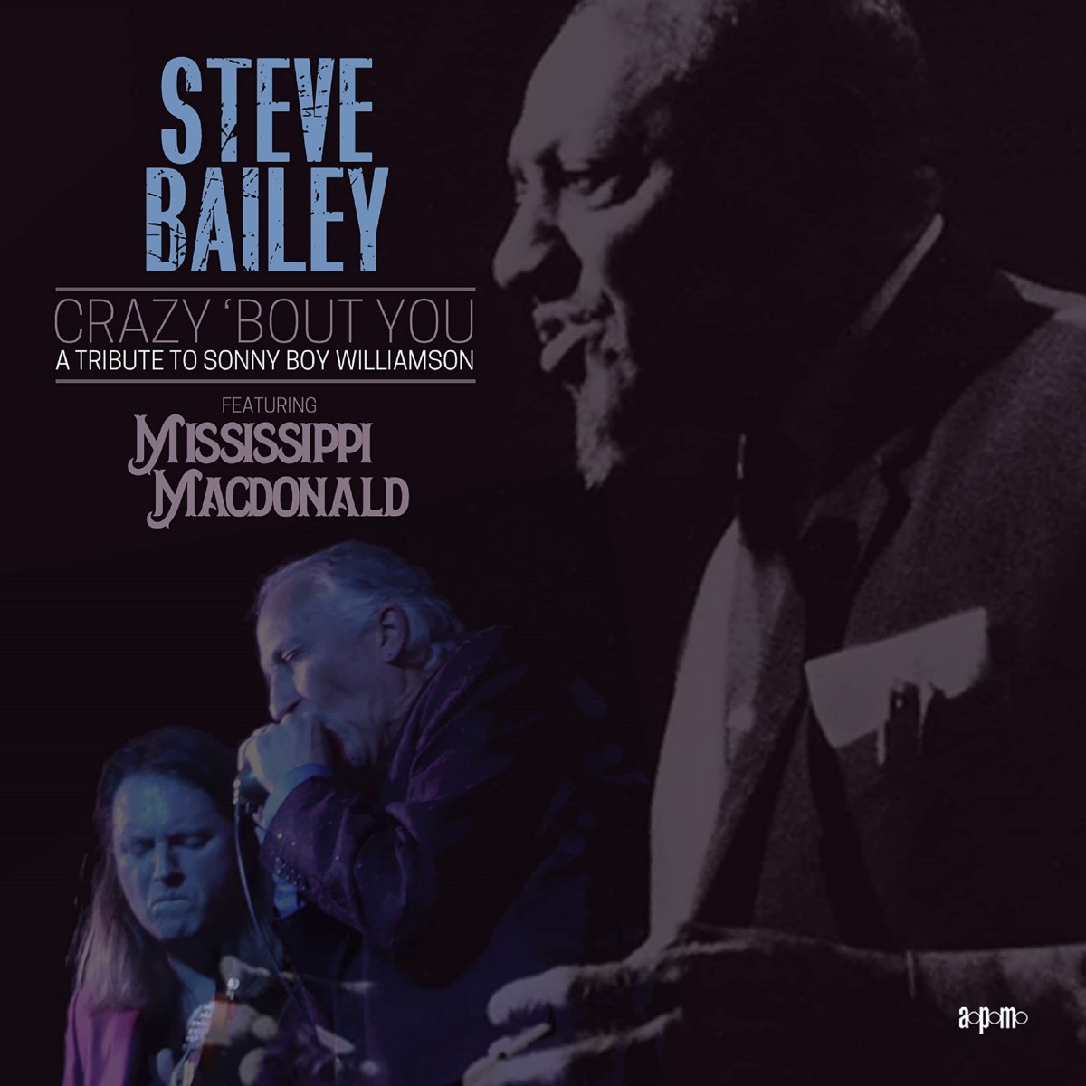 Steve Bailey & Other Artists - Crazy Bout You: A Tribute To Sonny Boy Williamson