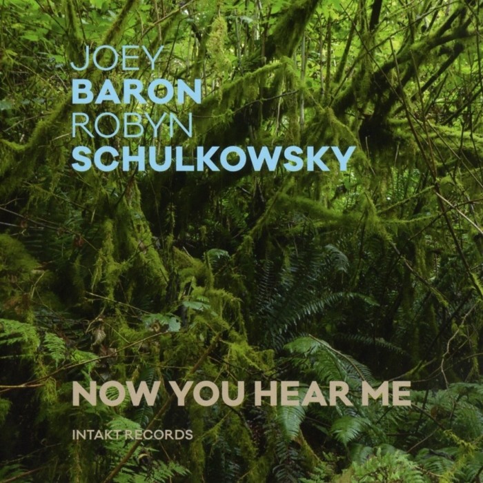Joey Baron & Robyn Schulkowsky - Now You Hear Me