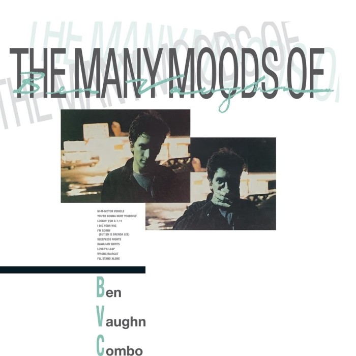Ben Vaughn Combo - The Many Moods Of Ben Vaughn Combo