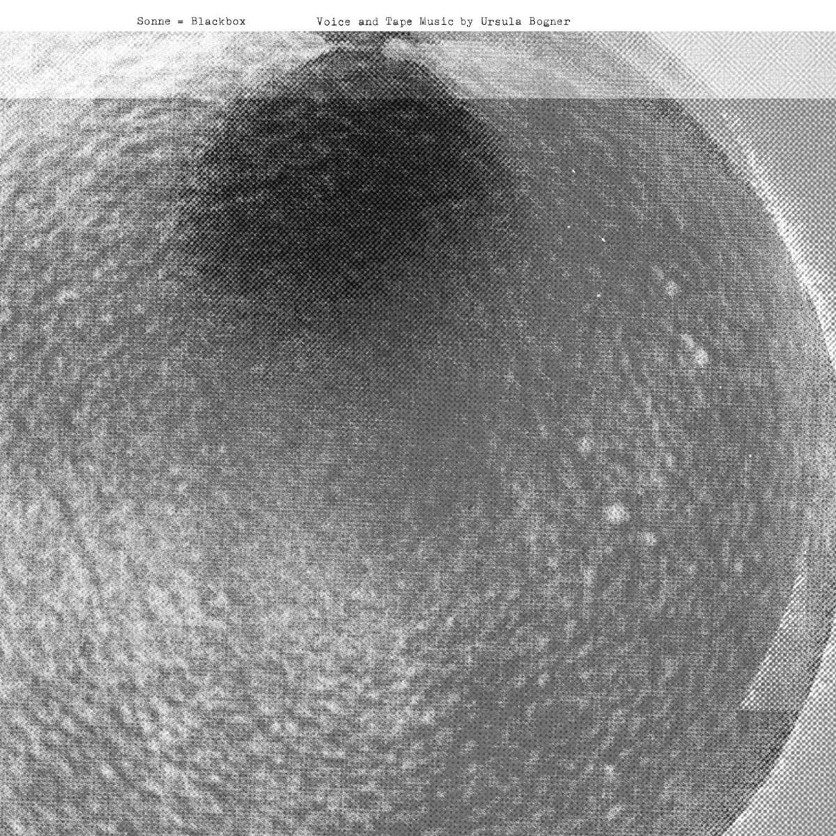 Ursula Bogner - Sonne equal Blackbox