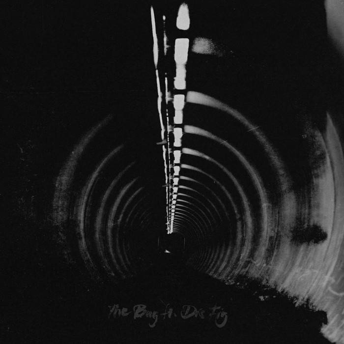 Bug feat. Dis Fig - In Blue