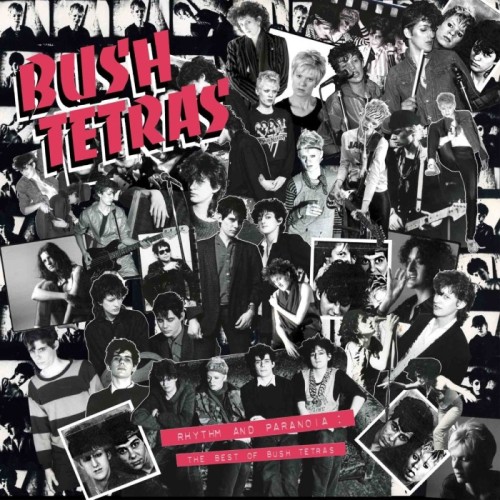 Bush Tetras - Rhythm And Paranoia: The Best Of Bush Tetras