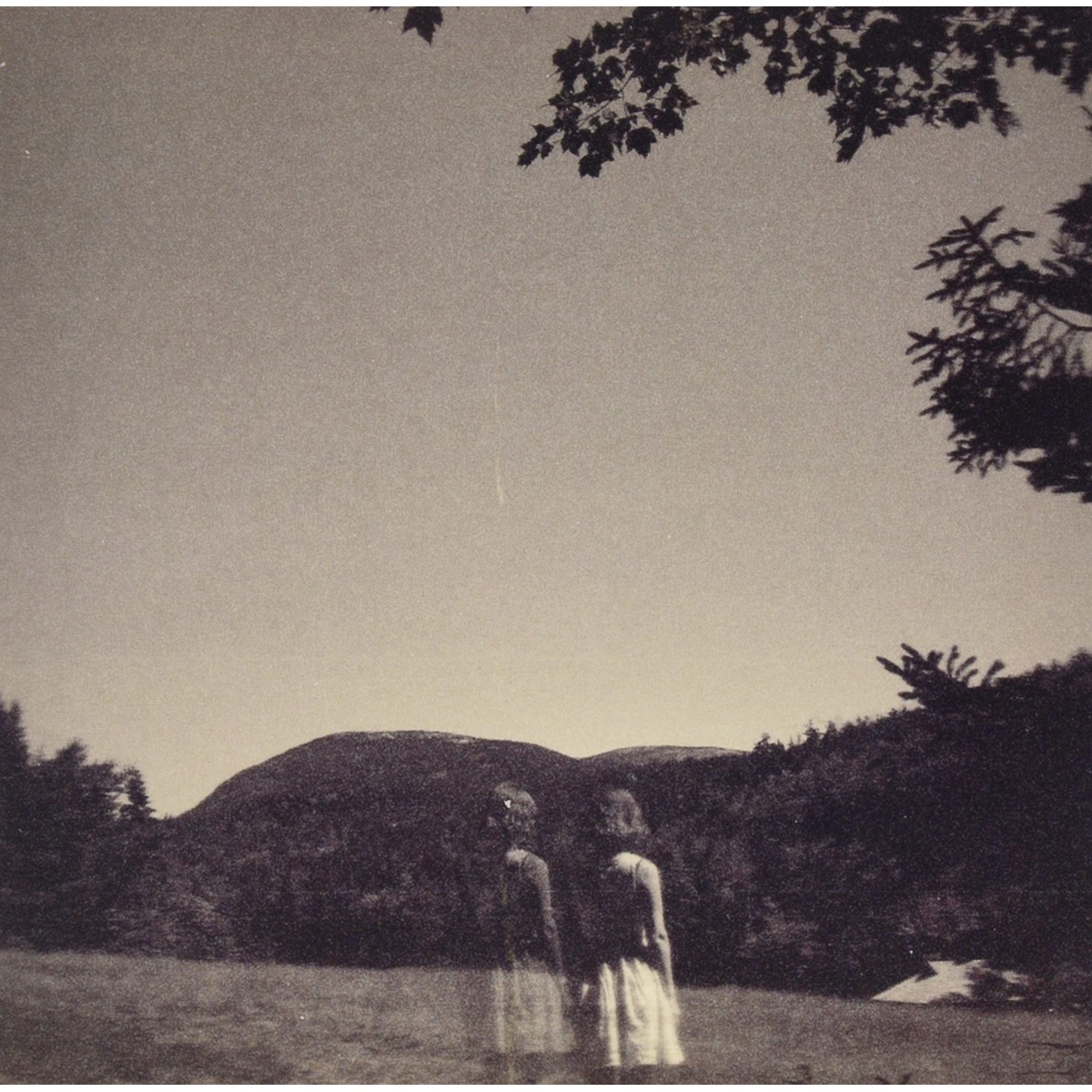 Goldmund - The Malady Of Elegance