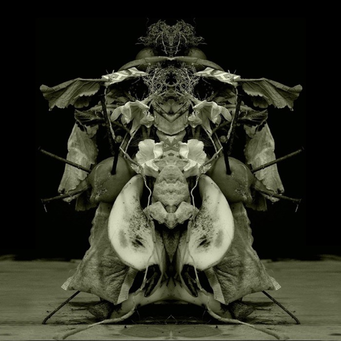 Gurun Gurun - Uzu Oto