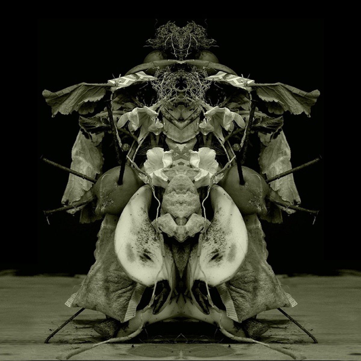 Gurun Gurun - Uzu Oto