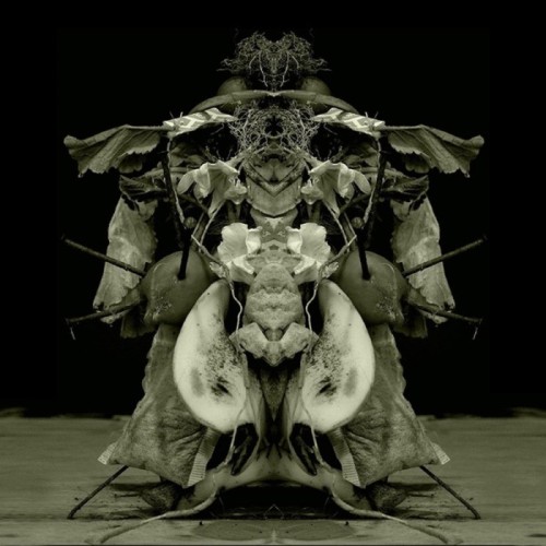 Gurun Gurun - Uzu Oto